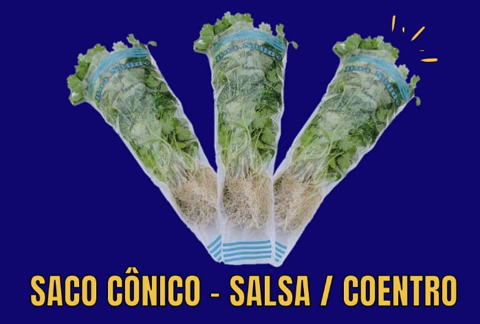 Saco Conico